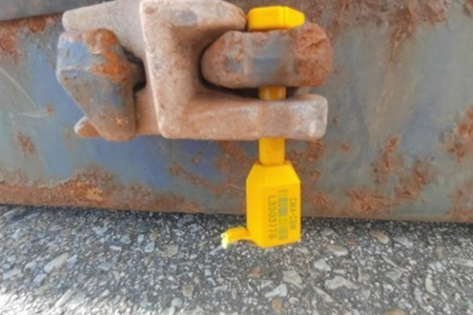 Untitled design - 2025-09-08T204739.440